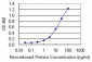 AP2S1 Antibody (monoclonal) (M01)